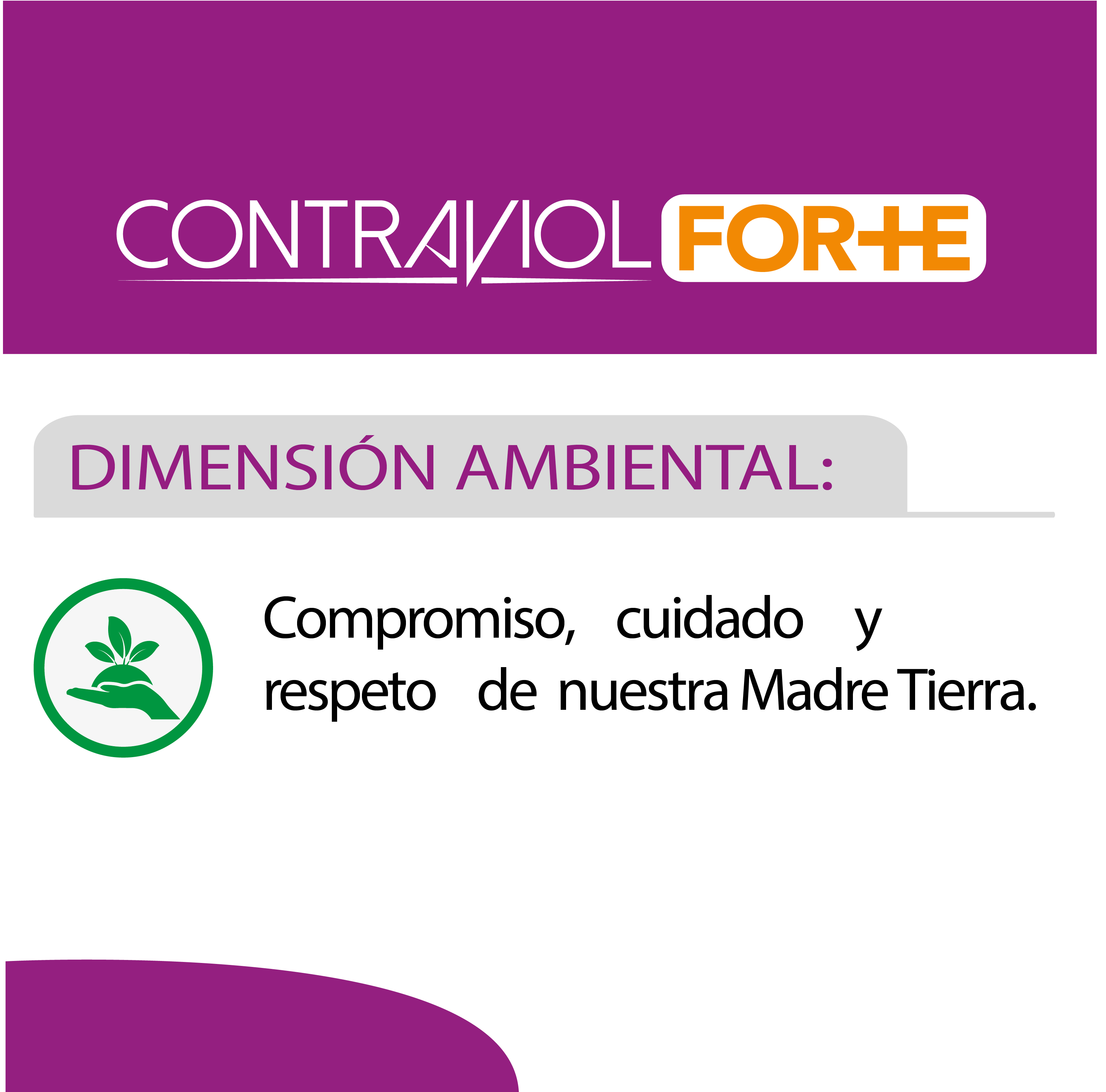 Dimensión ambiental